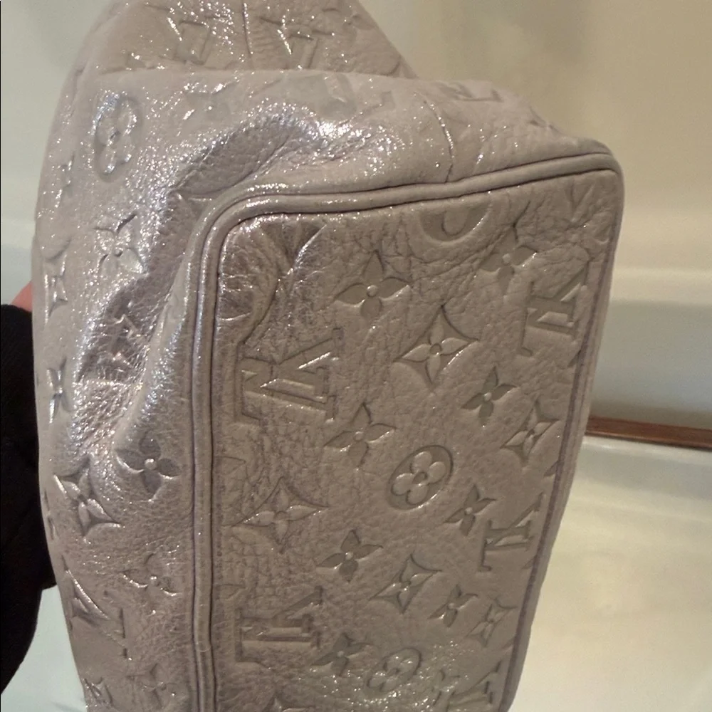 Louis Vuitton Metallic Silver Hobo Bag - Picture 6 of 13